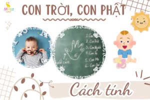 Con Phật, con Trời…