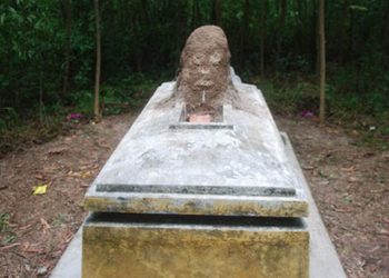 Đụn Mối Chồi Lên Mộ