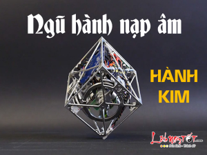 Luận nạp âm thủ tượng