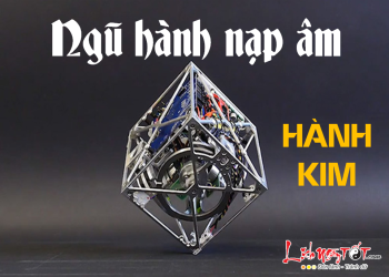 Luận nạp âm thủ tượng